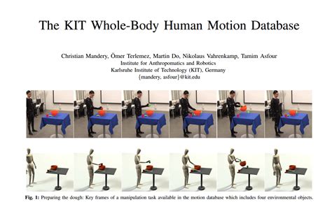 KIT Whole Body Human Motion Database