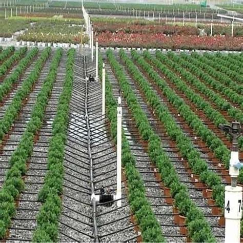 Drip Irrigation Systems at Rs 50000/piece | Drip Irrigation Systems in ...