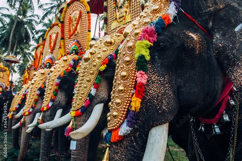 Kerala India February Decorated Elephants In India During