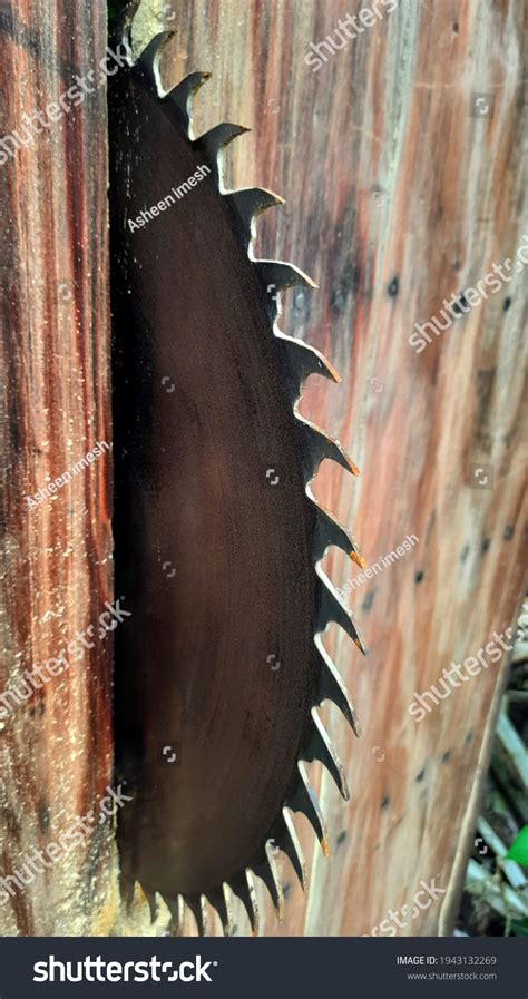 Tool Used Cut Down Trees Stock Photo 1943132269 | Shutterstock