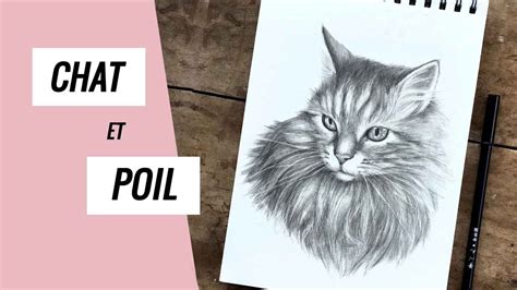 Comment dessiner un chat réaliste avec du poil ou de la fourrure YouTube