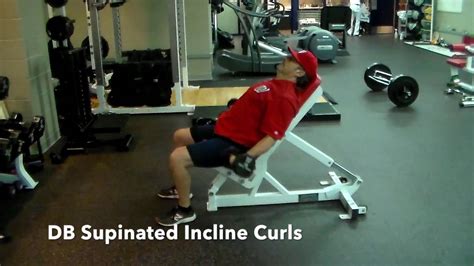 Db Supinated Incline Curls Youtube