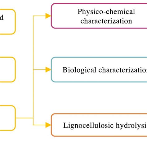 Schematic Representation Of The Methodology Of Immobilization Download Scientific Diagram