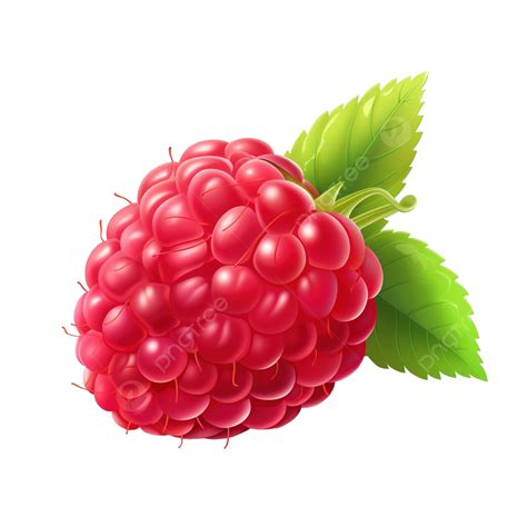 Fresh Raspberry Isolated Illustration Ai Generative Raspberry Fresh