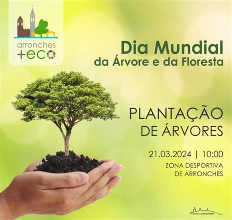 A Câmara Municipal irá assinalar o Dia Mundial da Árvore e da Floresta