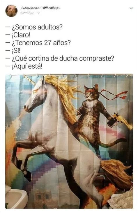 Gato Pistolero Montando Un Unicornio Meme Subido Por Demoniac