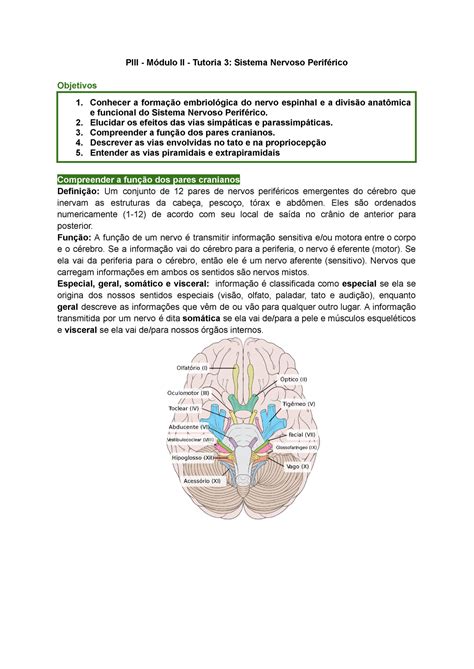 Piii Módulo Ii Tutoria 3 Sistema Nervoso Periférico Piii Módulo