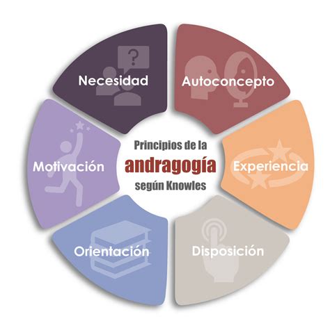 O Que Significa Andragogia Retoedu