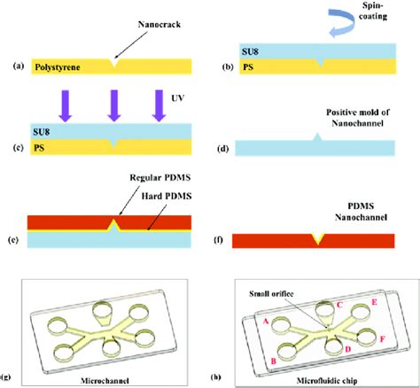 Procedure For The Fabrication Of The Pdms Microfluidic Chip With A Pair