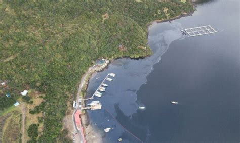 Buque Cabo de Hornos de la empresa Pesca Chile protagonizó masivo