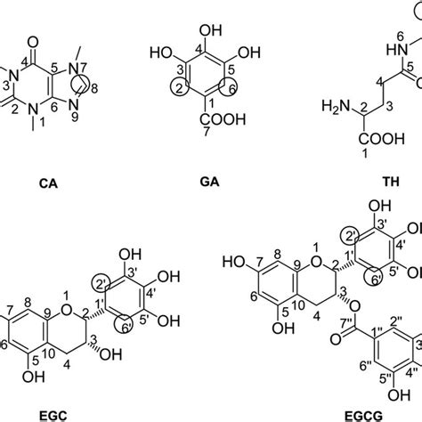 Chemical Structures Of Caffeine Ca Gallic Acid Ga Theanine Th Download Scientific