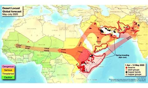 Famine risk for millions in second locust wave