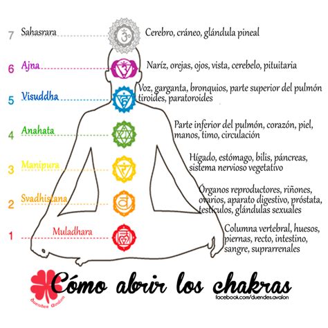 Chacras En El Cuerpo 7 chakras o centros de energía del cuerpo