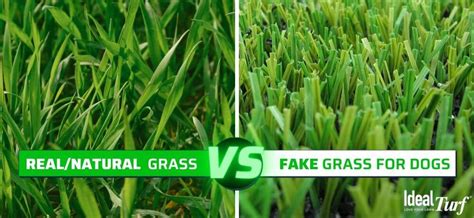 Fake Grass for Dogs: The Ultimate Pet Turf Buyer's Guide