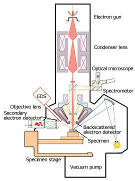 Electron Probe Micro Analyzer Science Basics Products JEOL Ltd