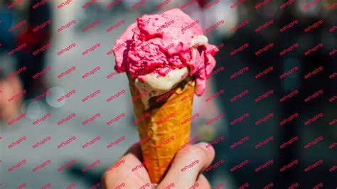 Create Ice Cream Selling Website Using Laravel Eshoptrip