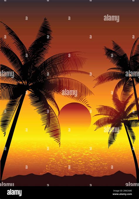 Tropical Sunset With Palm Trees Stock Vector Image And Art Alamy