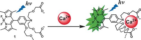 A Highly Selective Fluorescence Turnon Sensor For Extracellular