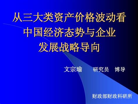 从三大类资产价格波动看中国经济态势与企业发展战略导向word文档在线阅读与下载无忧文档