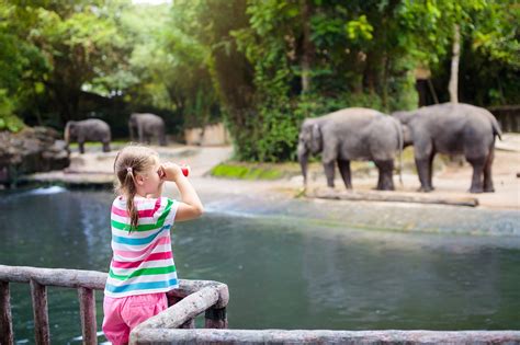 Singapore Zoo - Singapore Attractions – Go Guides