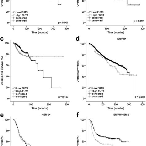 Kaplan Meier Overall Survival Os And Disease Free Survival Dfs Download Scientific Diagram