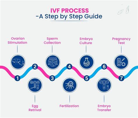 Process Of IVF How Long Does IVF Take Sishu Fertility Clinic IVF