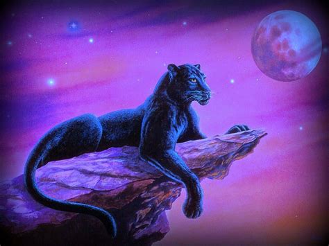 Panther Animal Spirit Guides Spirit Animal Spirit Animal Meaning