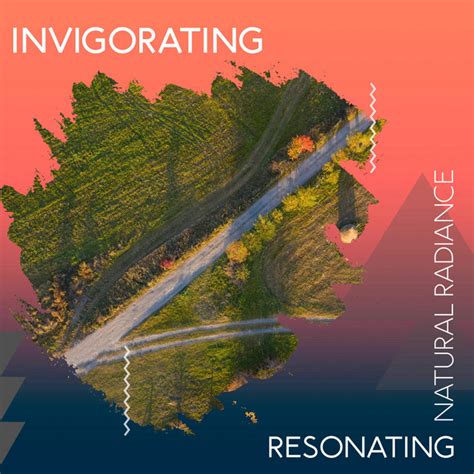 Zzz Invigorating Resonating Natural Radiance Zzz Album By White Noise