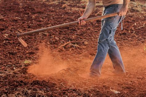 Conservation Des Sols Et De L Eau Wikifarmer