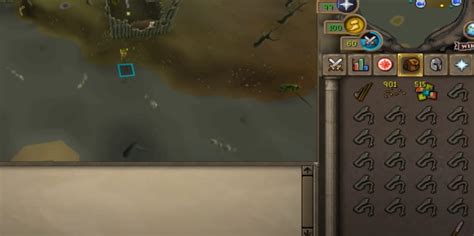 OSRS Fishing Money Making Guide - NovaMMO