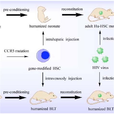 Advantages and challenges of HIV gene-mutation-based therapy in various... | Download Table