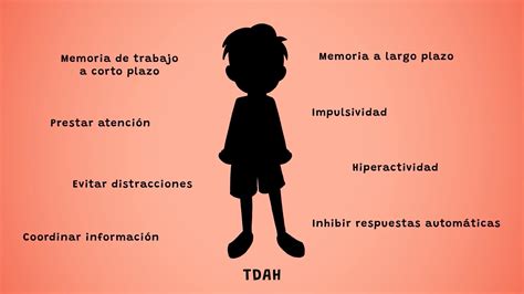 Conoce Más Sobre El Tdh Uma Divulga