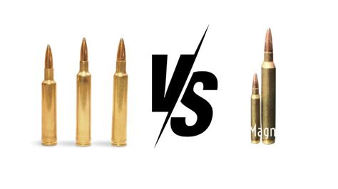 Who Is The Best Of 300 Rum Vs 300 Weatherby