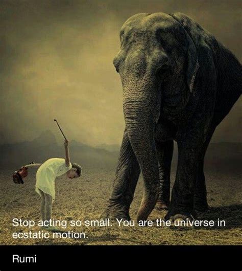 Inspirational Quotes Elephant Quotesgram