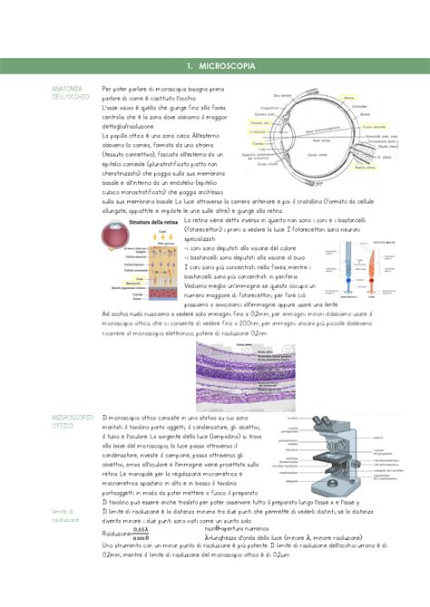 Citologia E Istologia Modulo Istologia Dispense Di Istologia Docsity
