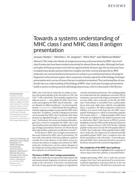 Pdf Towards A Systems Understanding Of Mhc Class I And Mhc Class Ii