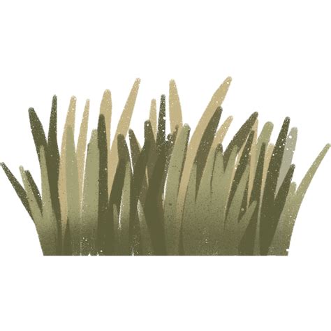 Grass Bush Illustration 11630302 PNG