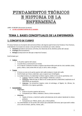 LIMPIO Fundamentos Teoricos De La Enfermeria Pdf