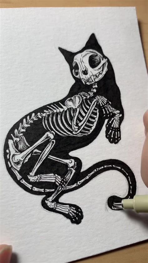 Cat Skeleton Skeleton Drawings Skeleton Tattoos Canine Skull Cat