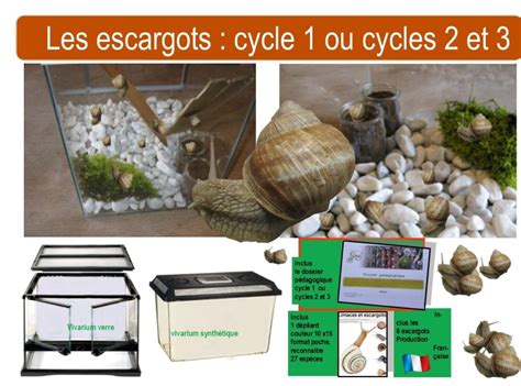 Les Escargots Carr Jardin