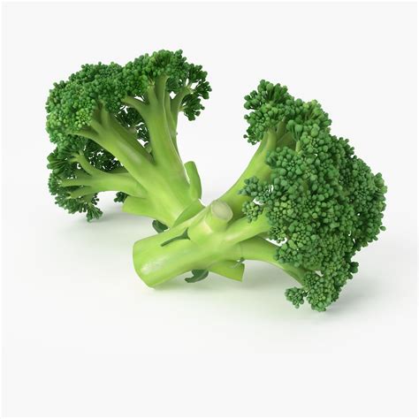 Broccoli 3d Models Download Free3d