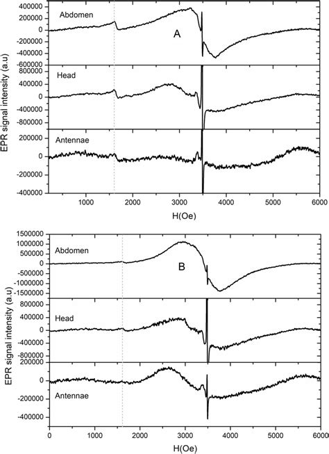 Ferromagnetic Resonance Fmr Spectra At Room Temperature For Abdomen