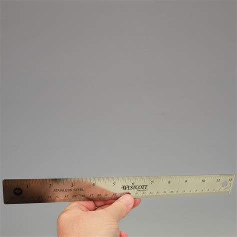 Ruler, Stainless-Steel, 12" | Carolina Biological Supply