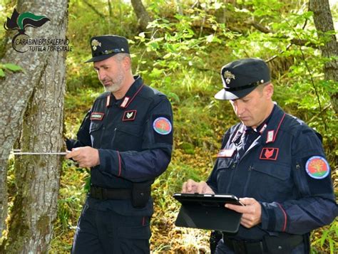 Vallo Della Lucania Servizio Straordinario Di Controllo Dei