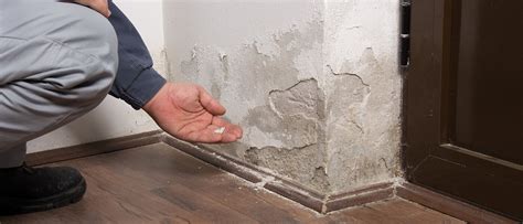 Why Do I Get Damp Patches On Internal Walls EnviroVent