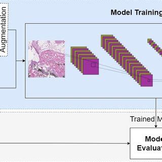 A Schematic View Of A Deep Learning Pipeline For Image Analysis