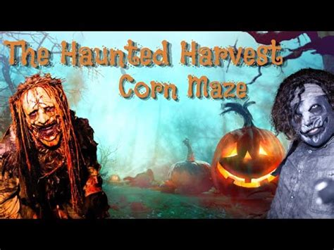 The Haunted Harvest Full Maze At Frosty S Forest And Pumpkin Patch In