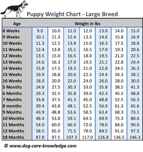 American Bully Weight Chart By Age Pitbull Weight Chart By A