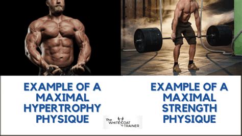 Strength Vs Hypertrophy A Complete Guide On What You Need To Know