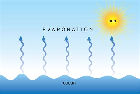 The Steps of the Water Cycle - All About The Water Cycle